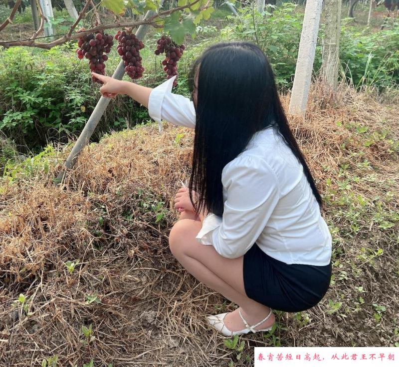 小巧玲珑骚逼少妇 第2张