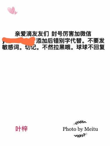 更新叶梓联系方式 第3张